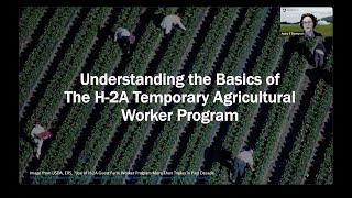 Understanding the Basics of the H-2A Temporary Agricultural Worker Program Understanding the Basics of the H-2A Temporary Agricultural Worker Program