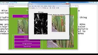 Rice Planthopper By Image Processing Matlab Projects