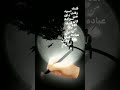 راب حزين قلبك اسود 
