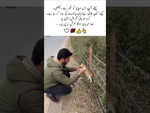 Neki kabhi zaya nahi jaati, Khuda khush ho jata hai! #Neki #Kindness #Humanity