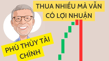 Nhật ký giao dịch phù thủy thị trường tài chính - Peter L.Brandt