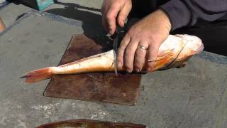 Preparing A Gurnard