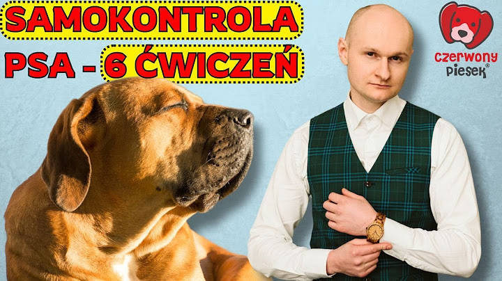 Jak uspokoić psa i nauczyć go panowania nad emocjami?