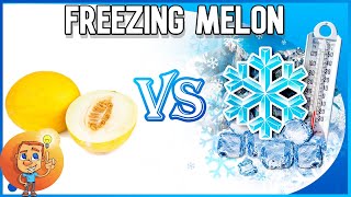 Freezing Melon - Can melon be frozen and then use it? - Melon Storage