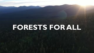 Why We Need Forests for All