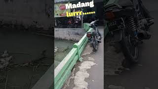 BIAR AKTIFITAS  LANCAR, JANGAN LUPA MADANG LUR....#madang #indramayu #explore #warung
