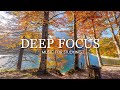 Deep Focus Music To Improve Concentration - 12 Hours of Ambient Study Music to Concentrate #736