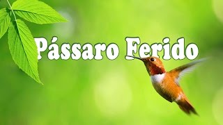 PASSARO FERIDO - Noemi Nonato - Letra chords