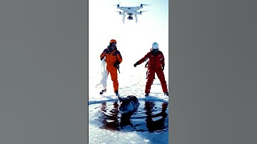 The most unique rescue mission! 🚁🦌#aiart #rescue #animalrescue #drone #wildlife