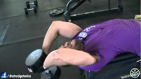 New Back and Biceps Natural Bodybuilding Routine @hodgetwins