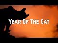 Al stewart  year of the cat lyrics