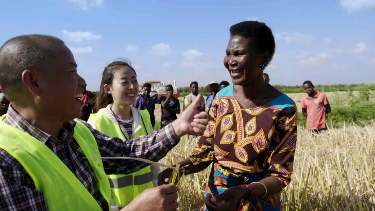 CAMINAMOS EN EL GRAN CAMINO: Integración en el mundo china southern airlines