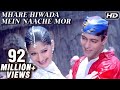 Mhare Hiwada Mein - Salman, Sonali, Saif, Karishma, Tabu, Mohnish - Hum Saath Saath Hain