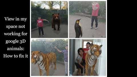 View in my space not working for google 3D animals How to fix it