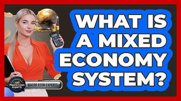 What Is A Mixed Economy System? - Macroecon Experts