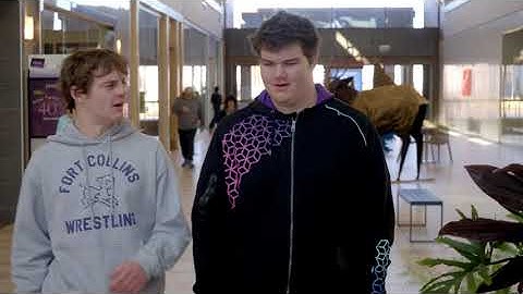 PSD One Day Video Challenge 2025: Pearsistent