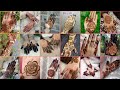 Eid special mehndi Back hand Mehndi design new design