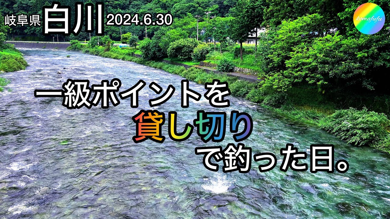 【鮎釣り】白川（岐阜県）｜2024.6.30（日）【友釣り】