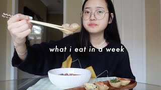 what i eat in a week pt 8 (korean food \& realistic)