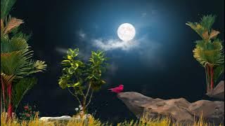 animasi | story wa || animasi || #quotes #storywa #animasi #nocopyright #shortvideo #shorts