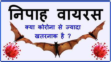 Nipah Virus - कैसे बचे, क्या लक्षण है, कितना खतरनाक है/What is Nipah Virus/Nipah Virus Explained