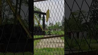 Oil Pump-Jack | Crude Oil Extraction