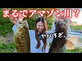 【バス釣り】近所の川が多魚種すぎてアマゾンだった件。