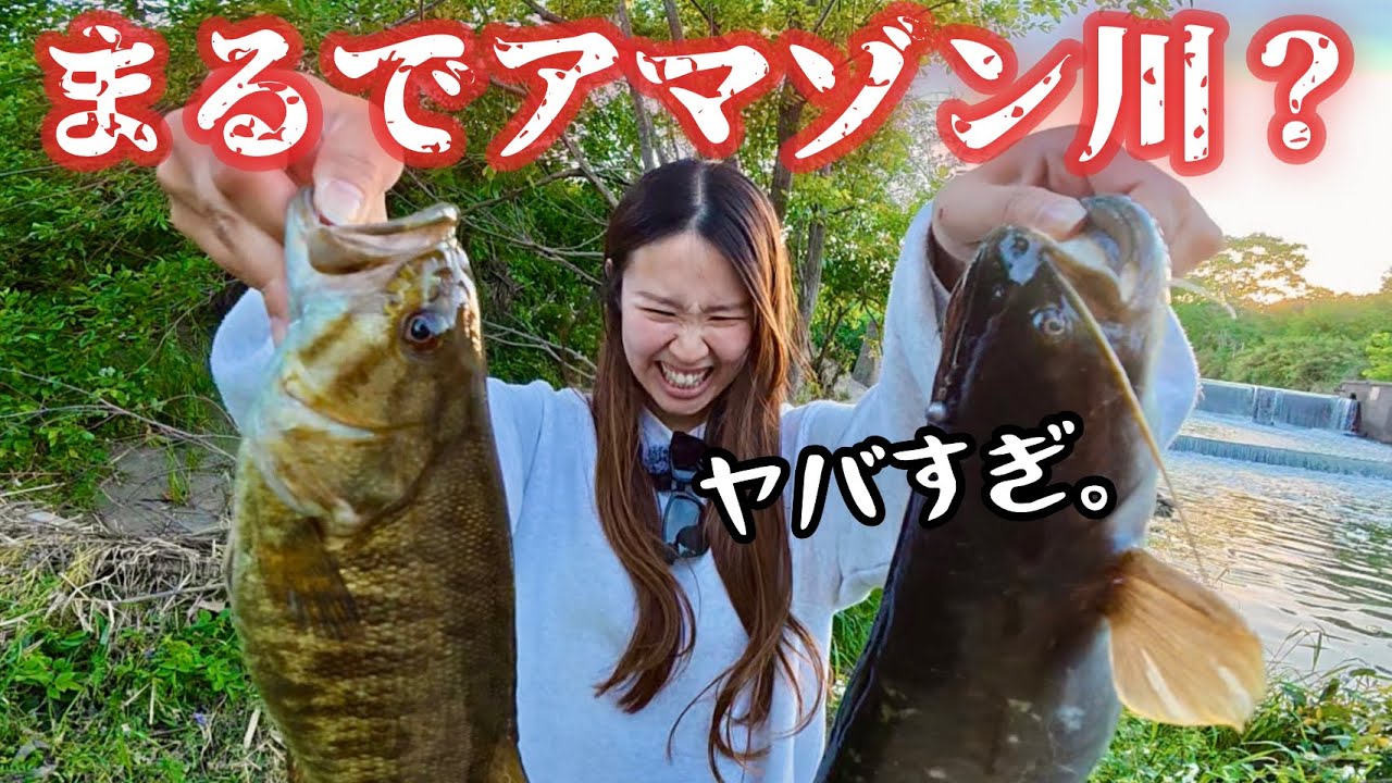 【バス釣り】近所の川が多魚種すぎてアマゾンだった件。