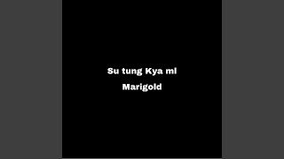 Su Tung Kya Ml