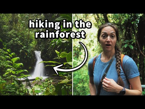 72 hours in ECUADOR'S RAINFOREST… hiking, waterfalls, and LOTS of rain in Mindo