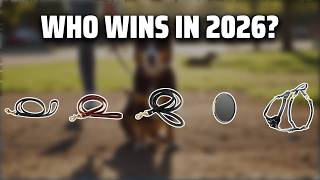 The Top 5 Best Signature K-9 in 2026 - Must Watch Before Buying!