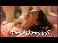 2025 Ultimate Mind Relaxing Lofi Beats Study Sleep Chill Part 193 