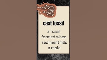 what are cast fossil?  what are fossils and how are they formed #shorts  #shortsfeed #biology