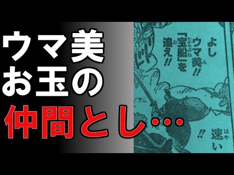 ワンピース クロコダイル 覇気が使えた その証拠がこれ 考察 1808 Youtube