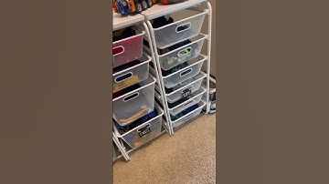 Biggest problem with fancy labels #shorts #organization