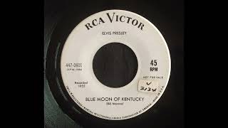 Video thumbnail of "0601 Blue Moon Of Kentucky cTjSyDxYKPc"