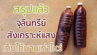 สรุปแล้ว ! จุลินทรีย์สังเคราะห์แสงเก็บได้นานเท่าไหร่