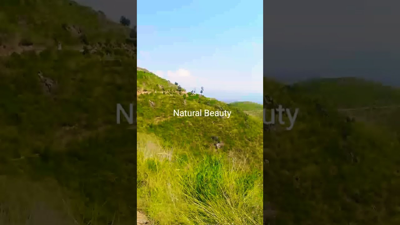 Swat Valley Pakistan🇵🇰 || Beautiful Mountain of kabal swat || whatsaap status