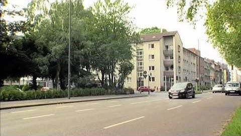 Keeping Speed in Check - Speed Limiter