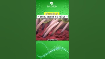 Hút thuốc lá gây hại cho phổi như thế nào  #shots #bacsitrong