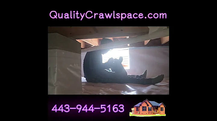 We take pride in our work