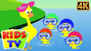 funny little ducks quack quack quack baby song kids