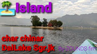 Dal Lake Srinagar Jk. Char Chinaar Island Middle Of Dallake