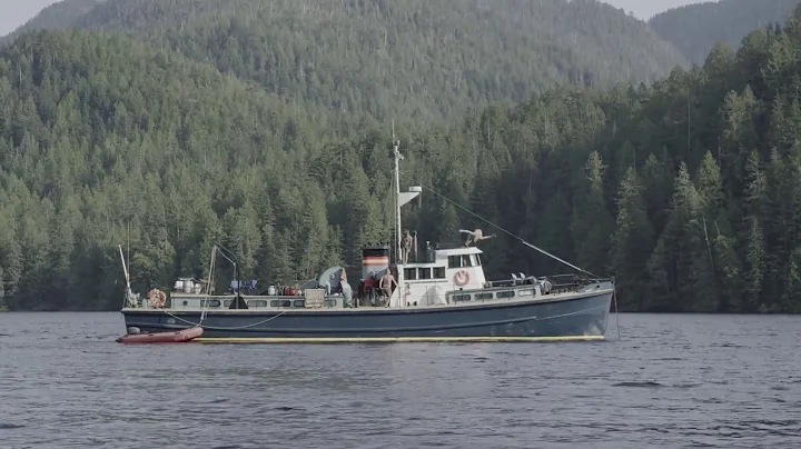 Volume 11: "Hellbound In Clayoquot Sound"