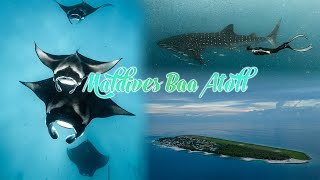 Maldives Baa Atoll Hanifaru Bay I Freediving with 100 Mantas I Cinematic VLOG I Lumix S1H I Mavic 3