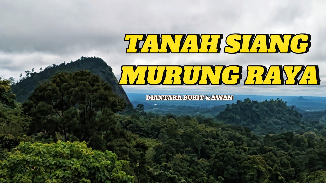 Masuk Tanah Siang Murung Raya! Kampung Dayak di Atas Perbukitan & Awan