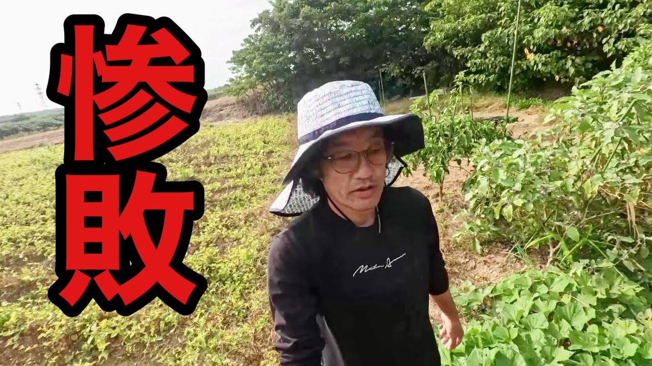 This is what happened in the fields in October. [Gardening