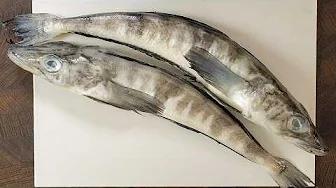 A total feather out of an owl's ass. Icefish and asparagus with eggplant sauce