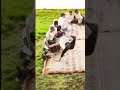 روح روحي بغت روحي تروحي نواف عقاب جنتل