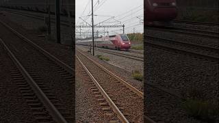 Passage d'un TGV PBKA à TGV Haute Picardie #sncf